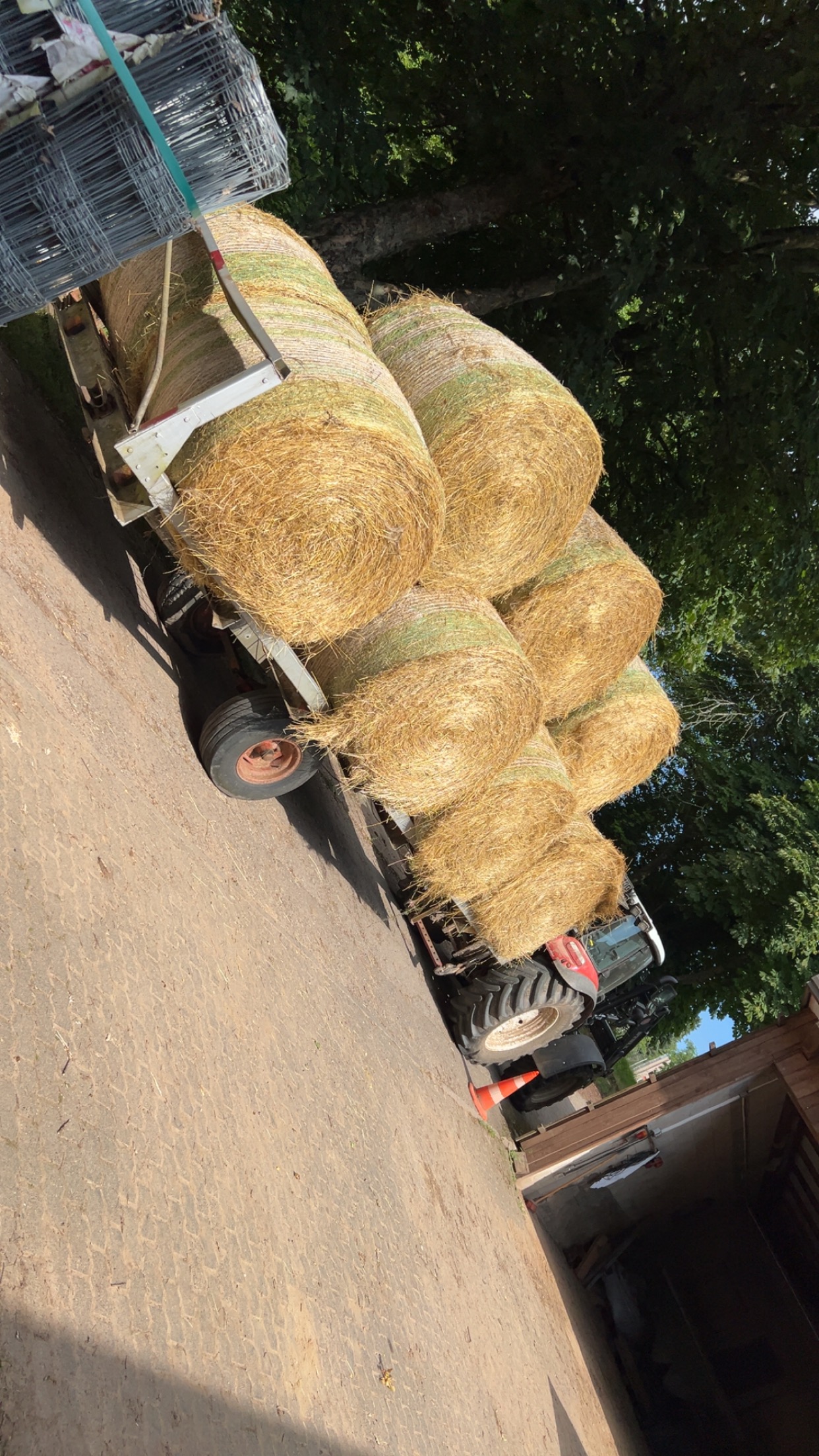 Foto 20.03.25, 11 05 01 (1)